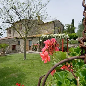 Fontesettimena Rondine- Capriolo , Volterra Italy