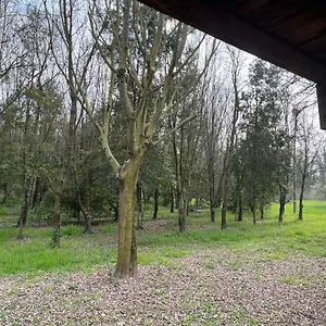 Woods Vérone